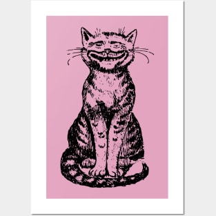 Smiling Cat on Pink Posters and Art